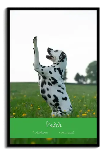 Collage 1 photo hommage pour chien, cadre ovale