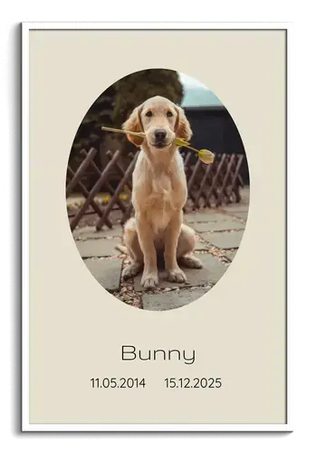 Collage 1 photo hommage pour chien, cadre ovale