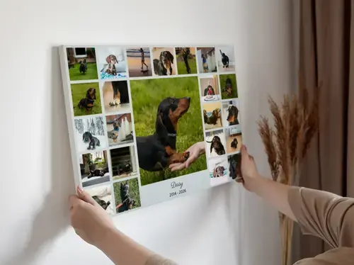 Collage photo silhouette de chien – nom et années