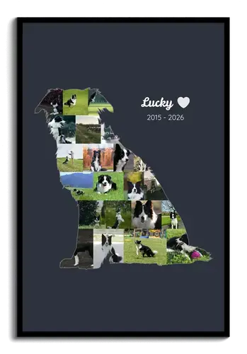 Collage photo silhouette de chien – nom et années