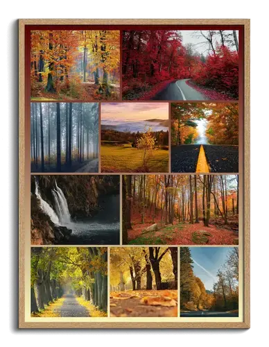 Collage Premium Paysages et Nature