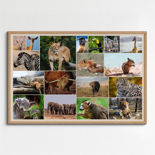 Créez un collage photo d'animaux sauvages & oiseaux - Poster, toile ou cadre premium