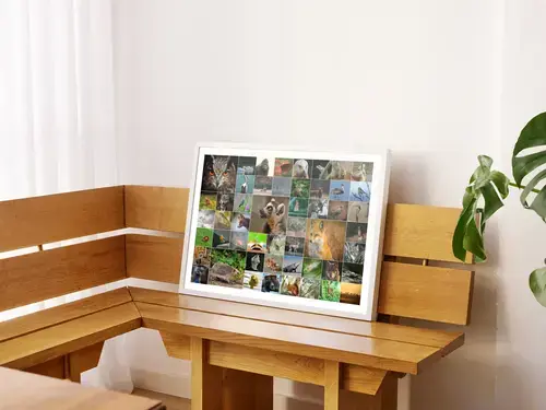 Collages Premium Animaux en Nature