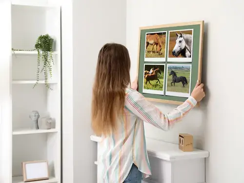 Animaux Sauvages en Collage Polaroid