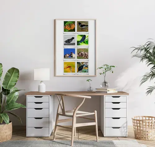 Animaux Sauvages en Collage Polaroid