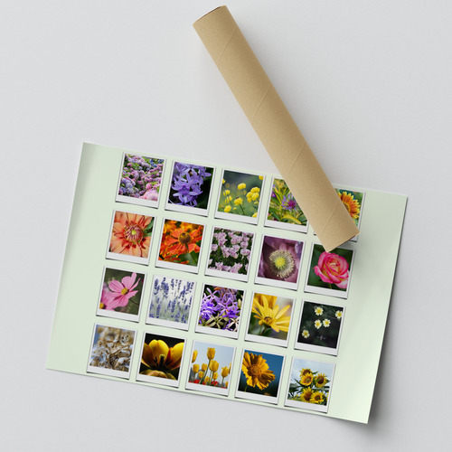 Collage Polaroid Nature Saison en Couleurs