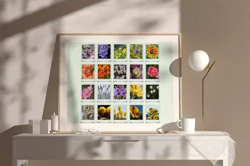 Collage Polaroid Nature Saison en Couleurs