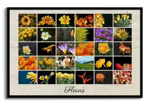 Poster collage photo en grille fleurs - personnalisez vos photos et votre texte