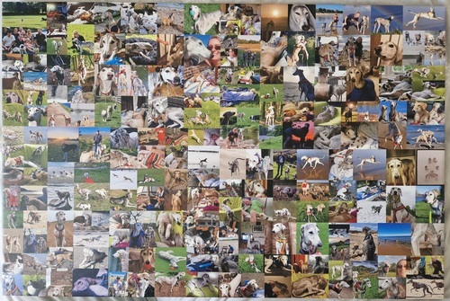 Photo du client Beverley pour l'évaluation Impression Photocollage Toile 36x24"