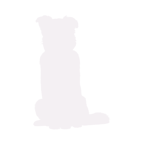 Silhouette de chien Berger Australien assis