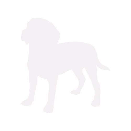 Silhouette de chien Beagle debout