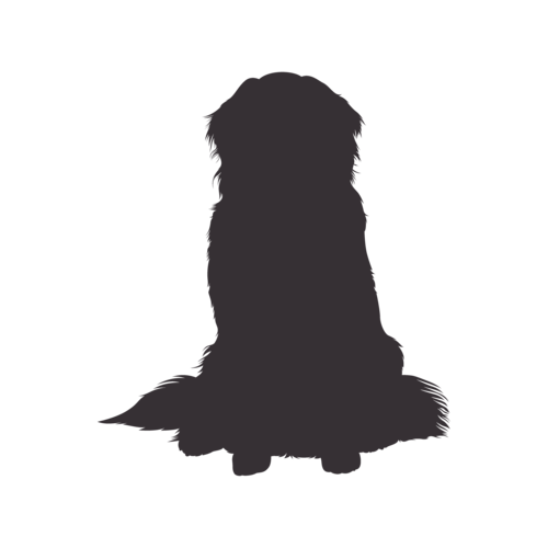 Silhouette de chien Bouvier Bernois assis