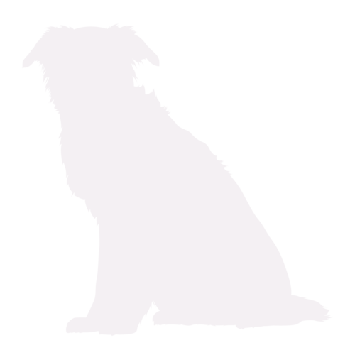 Silhouette de chien Border Collie assis