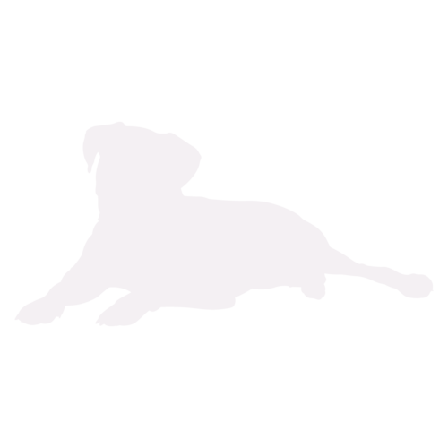 Silhouette de chien Boxer assis