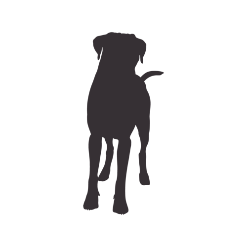 Silhouette de chien Boxer debout