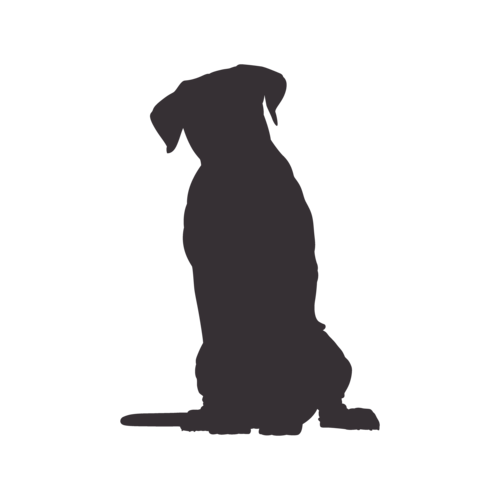 Silhouette de chien Cane Corso assis