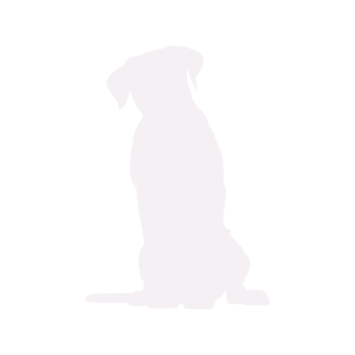 Silhouette de chien Cane Corso assis