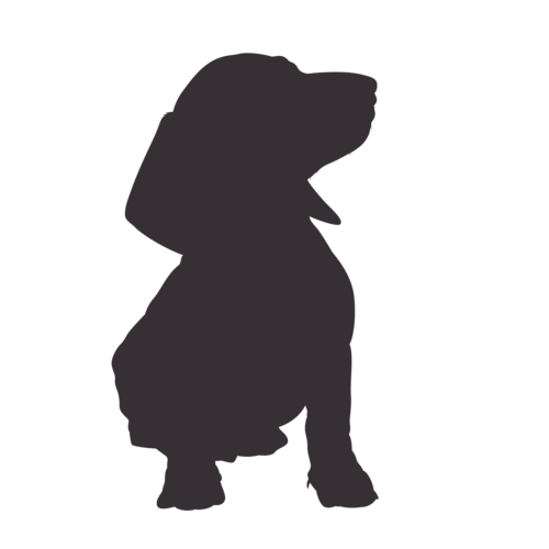 Silhouette de chien Teckel assis