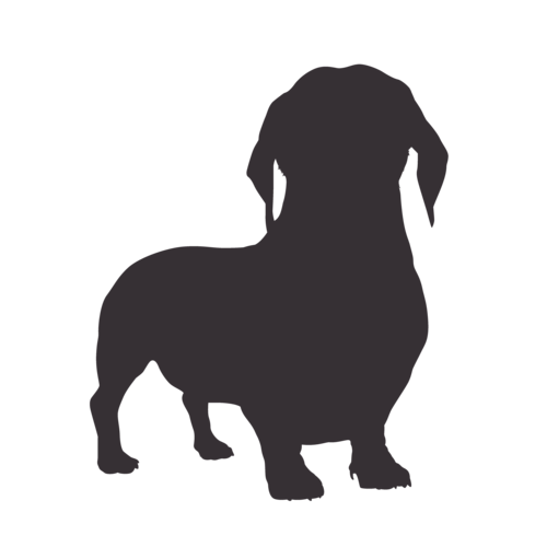 Silhouette de chien Teckel debout
