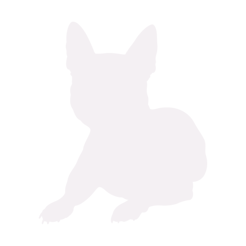 Silhouette de chien Bouledogue Français assis
