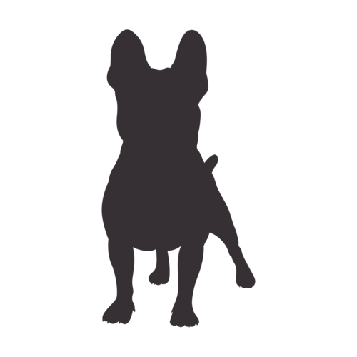 Silhouette de chien Bouledogue Français debout