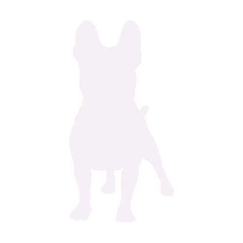 Silhouette de chien Bouledogue Français debout
