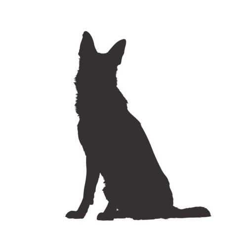Silhouette de chien Berger Allemand assis