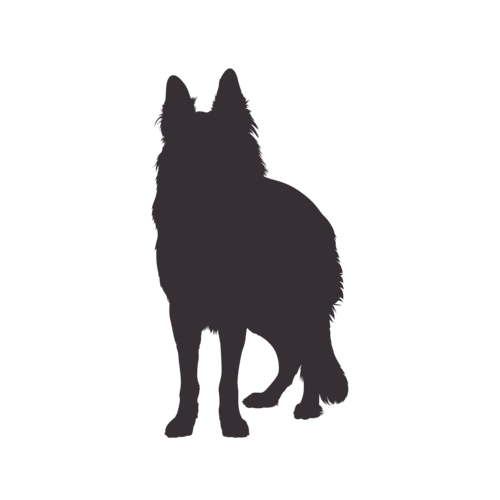 Silhouette de chien Berger Allemand debout