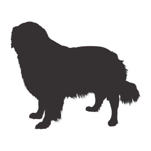 Silhouette de chien Golden Retriever debout