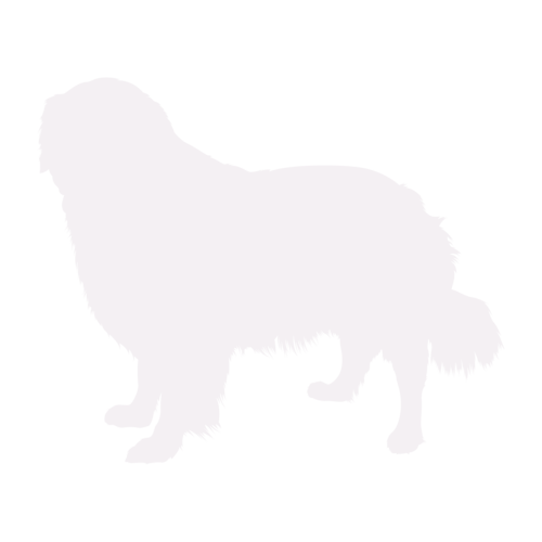 Silhouette de chien Golden Retriever debout