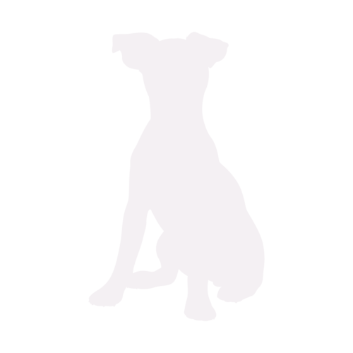 Silhouette de chien Jack Russell Terrier assis