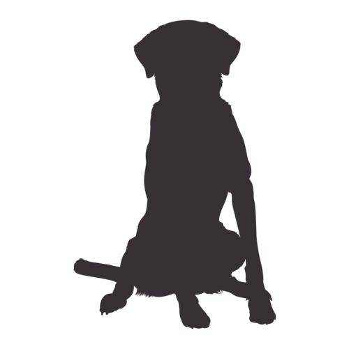 Silhouette de chien Labrador assis