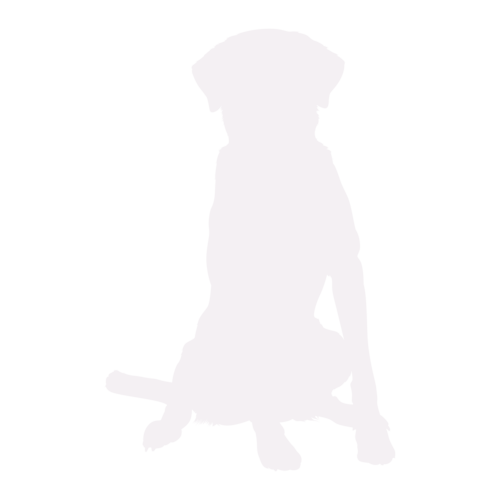 Silhouette de chien Labrador assis