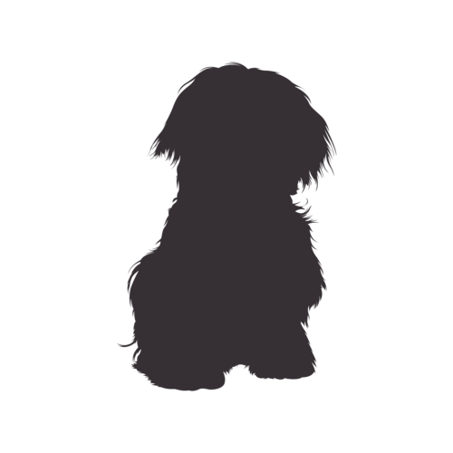 Silhouette de chien Bichon Maltais assis