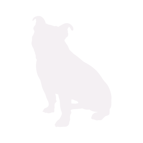 Silhouette de chien Old English Bulldog assis