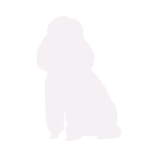 Silhouette de chien Caniche assis