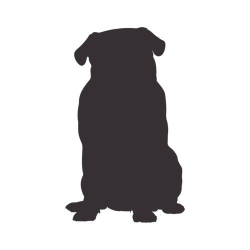 Silhouette de chien Carlin assis