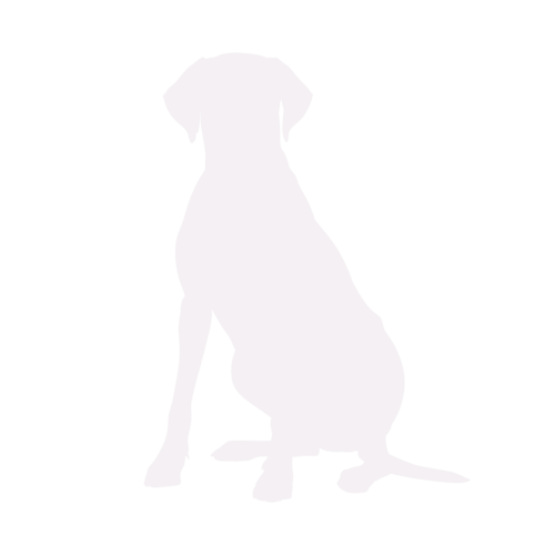 Silhouette de chien Rhodesian Ridgeback assis