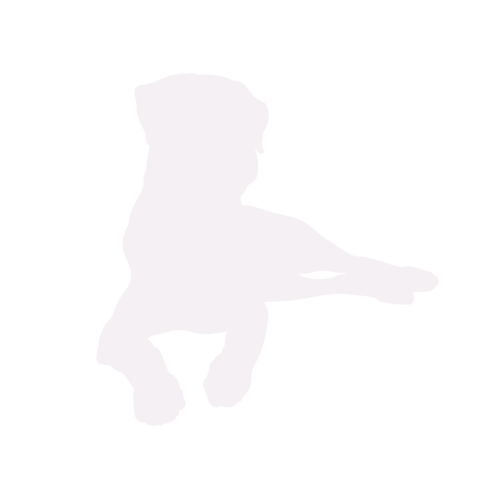 Silhouette de chien Rottweiler assis