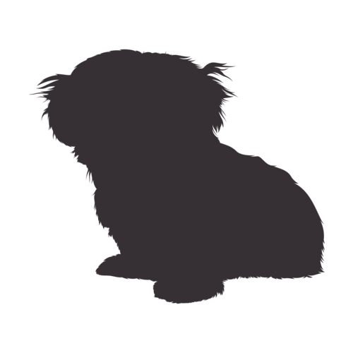 Silhouette de chien Shih Tzu assis