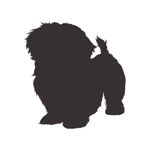 Silhouette de chien Shih Tzu debout
