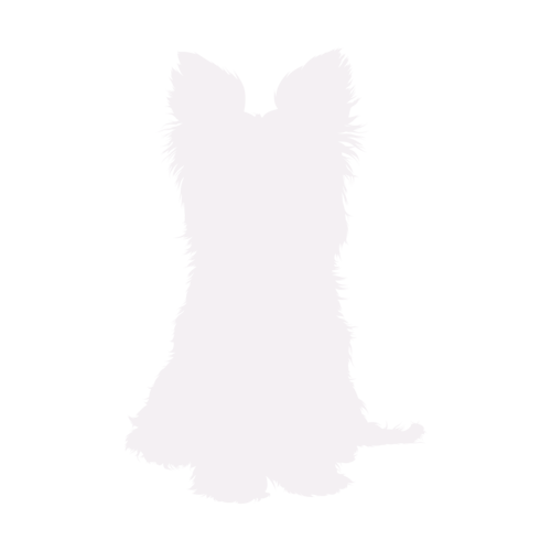Silhouette de chien Yorkshire Terrier assis