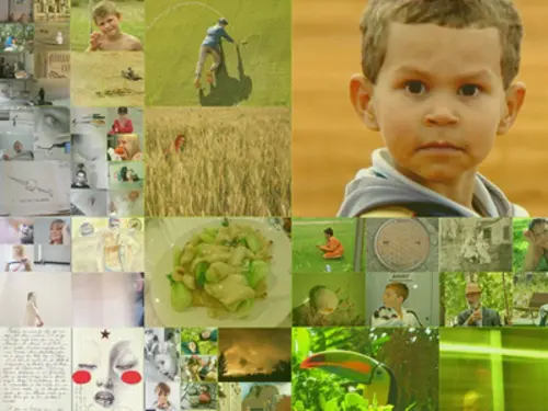 Détail – mosaïque photo : des vignettes plus petites dans les zones contrastées